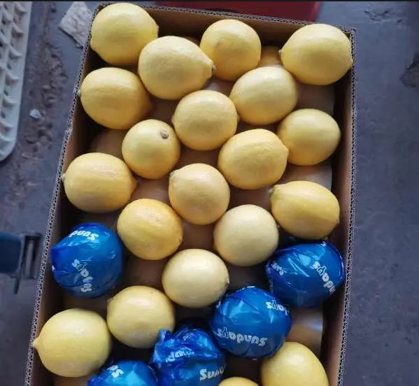 潼南柠檬