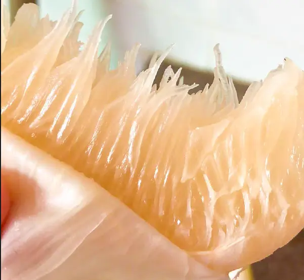 长寿沙田柚