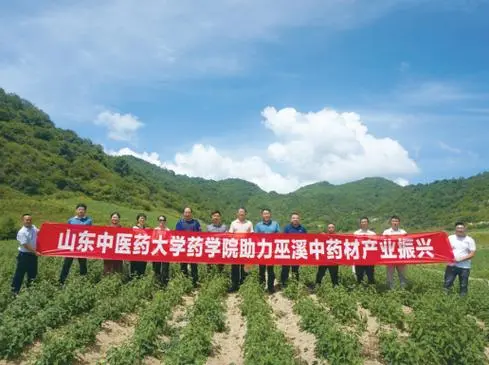 为新系列做好准备